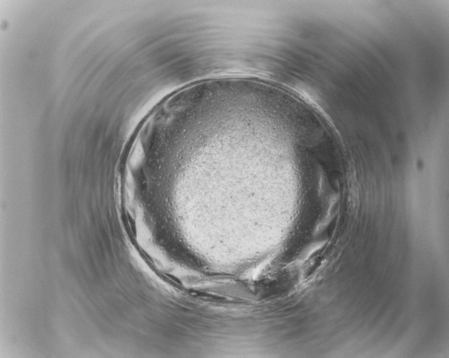 X0000056321476200509092250