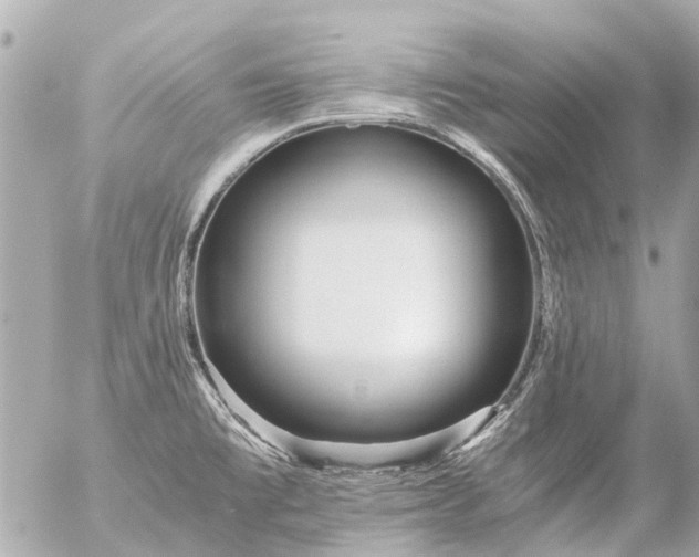 X0000056321477200509092250