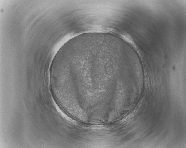 X0000056321479200509092250