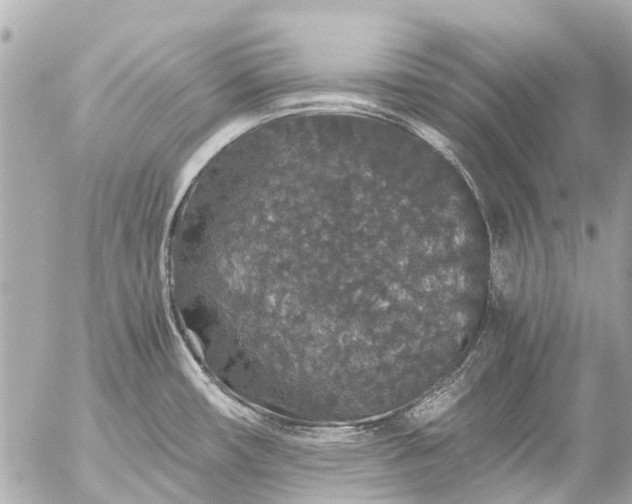 X0000056321482200509092250