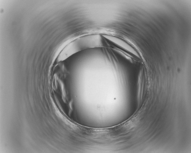 X0000056321483200509092250