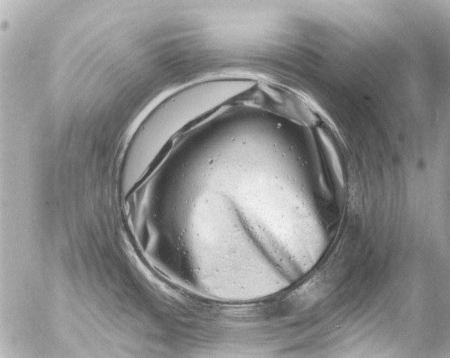 X0000056321484200509092250