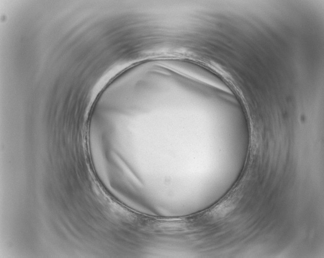 X0000056321486200509092250