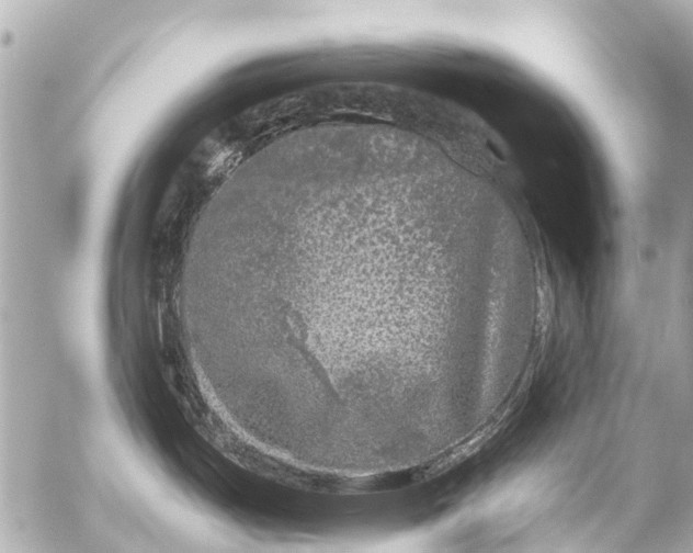 X0000056321487200509092250