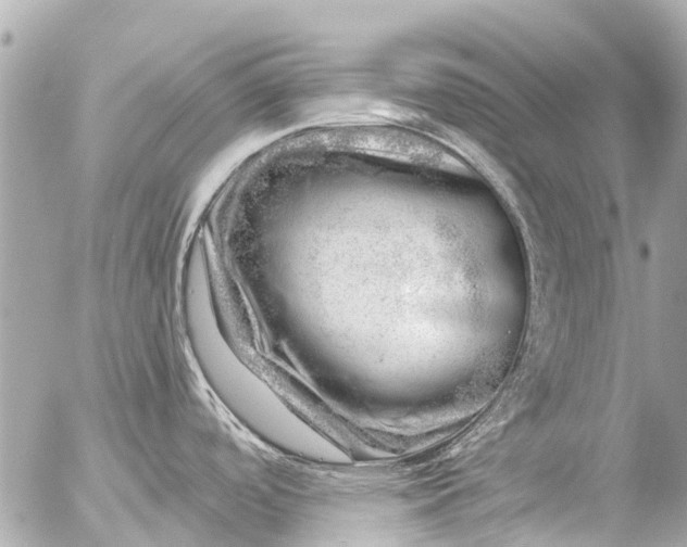 X0000056321488200509092250