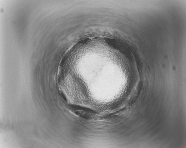 X0000056321489200509092249