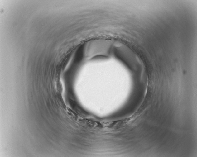 X0000056321490200509092249