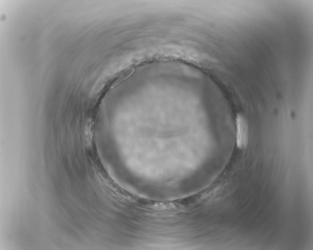 X0000056321491200509092249