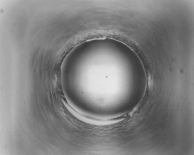 X0000056321492200509092249