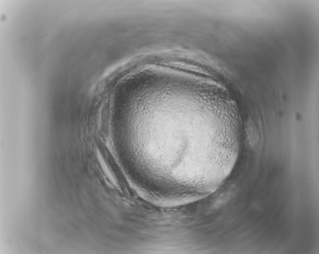 X0000056321494200509092249