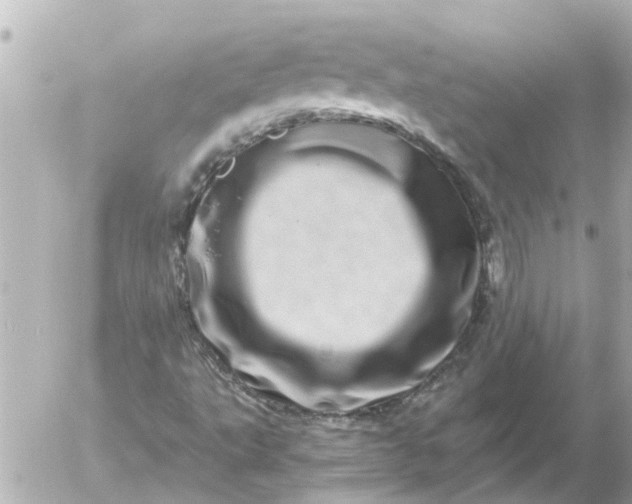 X0000056321495200509092249