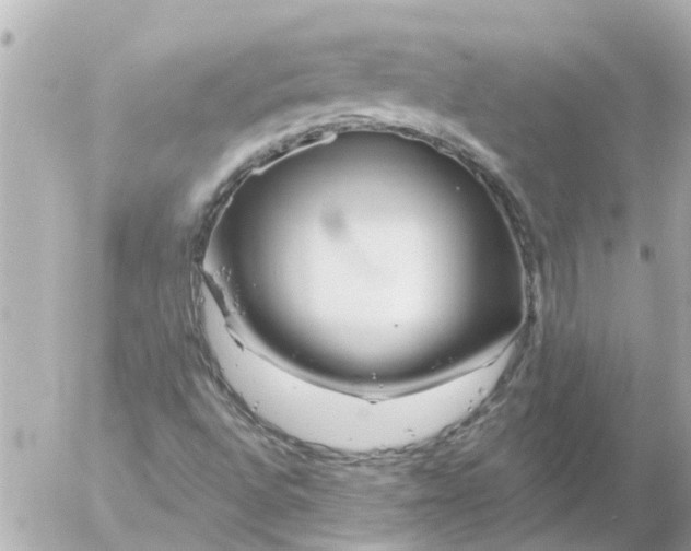 X0000056321496200509092249