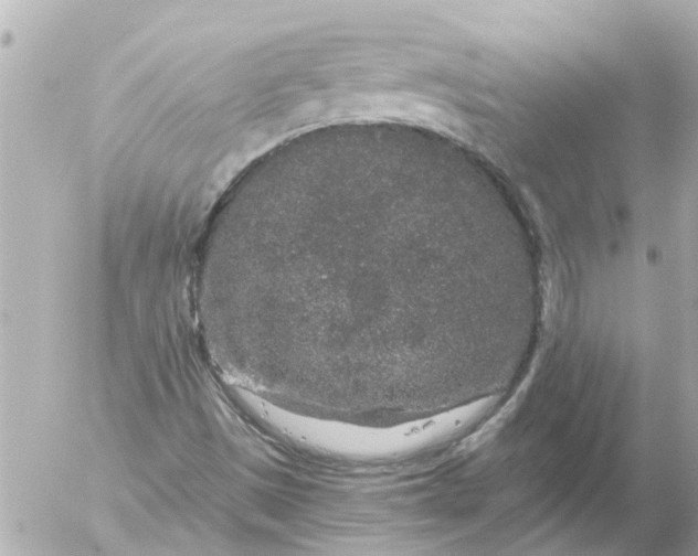 X0000056321497200509092249