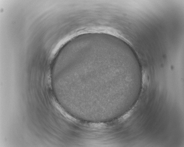 X0000056321498200509092249