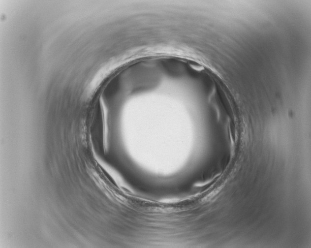 X0000056321499200509092249