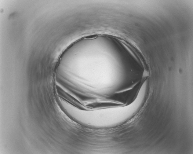 X0000056321500200509092249