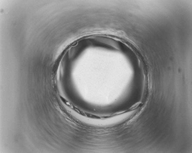 X0000056321501200509092249