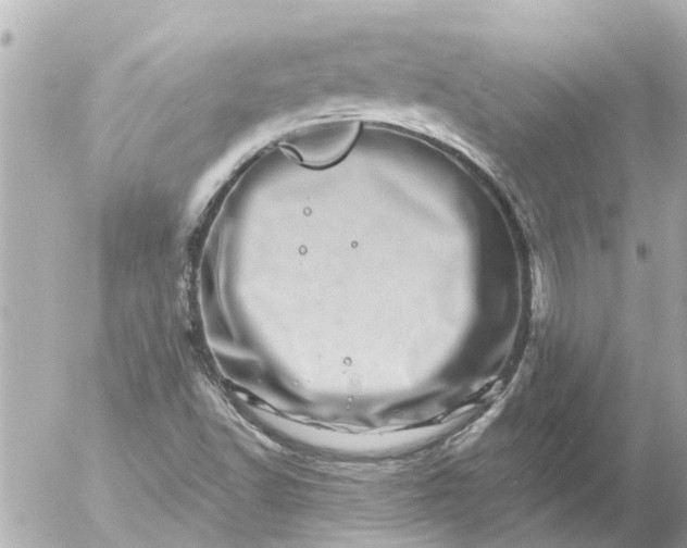 X0000056321502200509092249