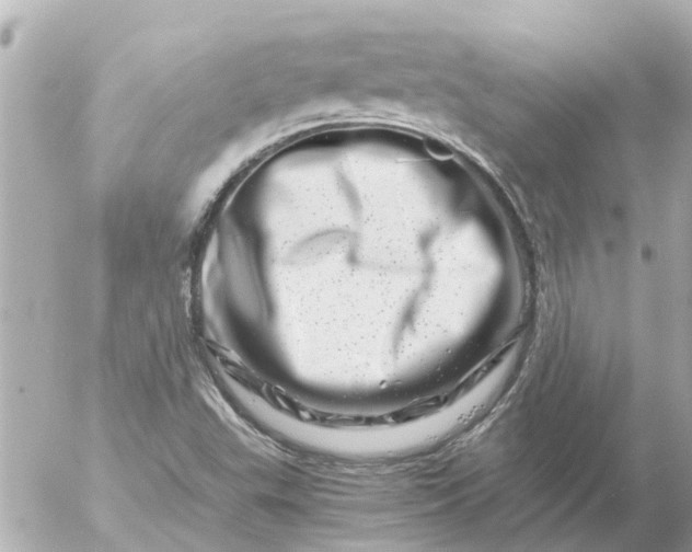 X0000056321503200509092249