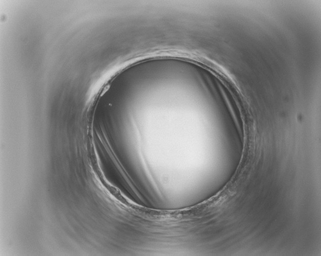 X0000056321504200509092249