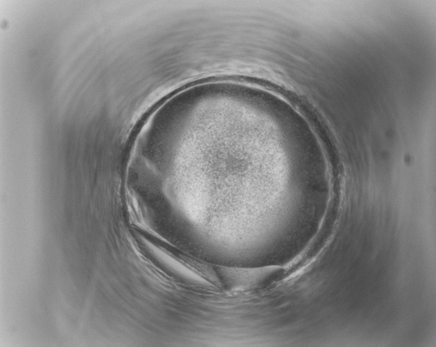 X0000056321505200509092249