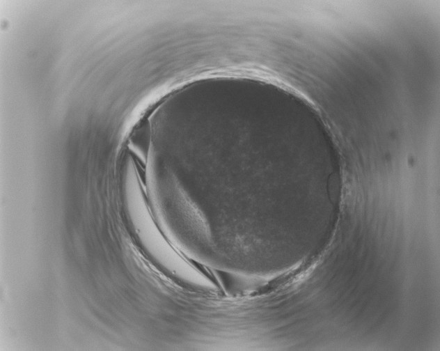 X0000056321506200509092249