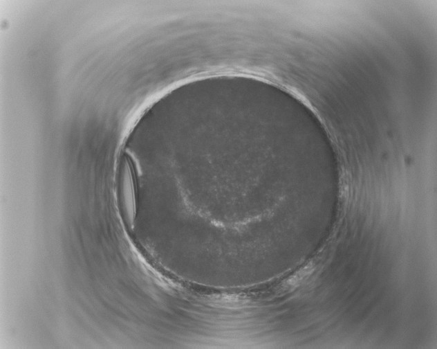 X0000056321508200509092249