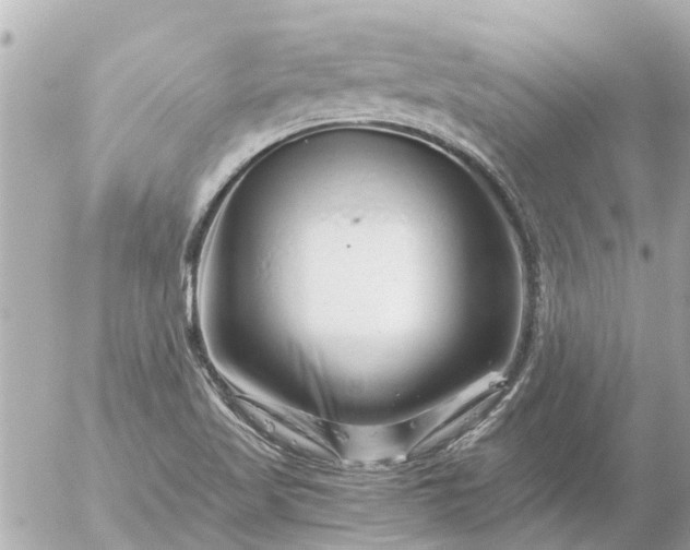 X0000056321509200509092249