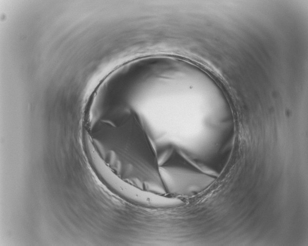 X0000056321512200509092249