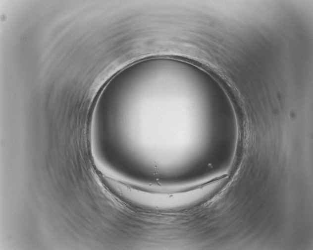 X0000056321513200509092249