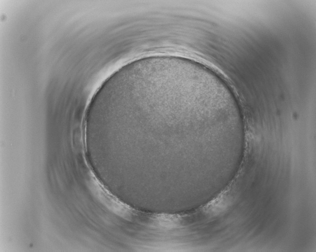 X0000056321514200509092249