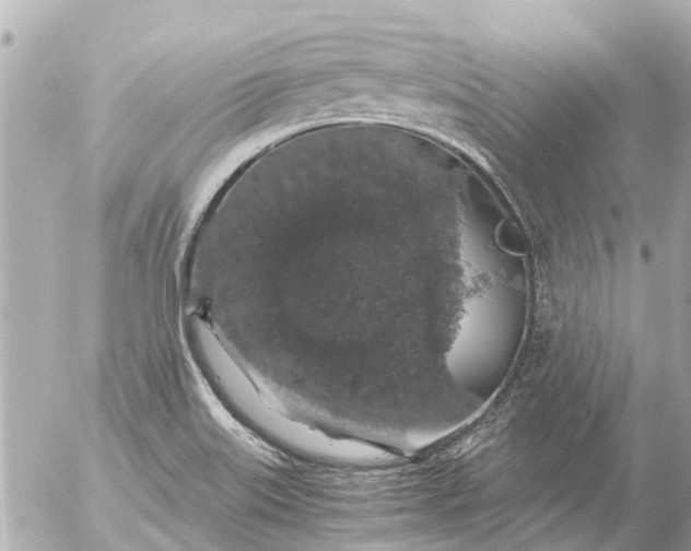 X0000056321515200509092249