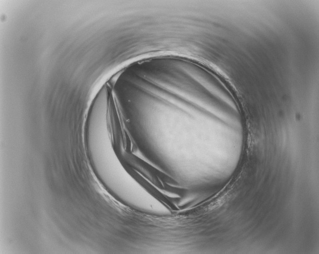 X0000056321516200509092249