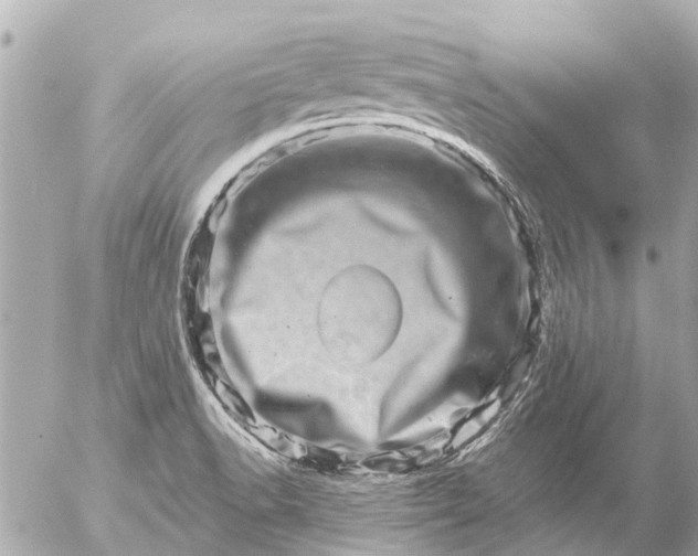 X0000056321518200509092249