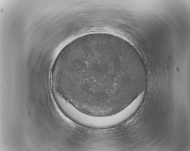 X0000056321519200509092249