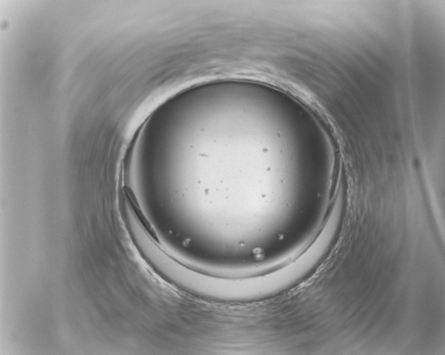 X0000056321520200509092249