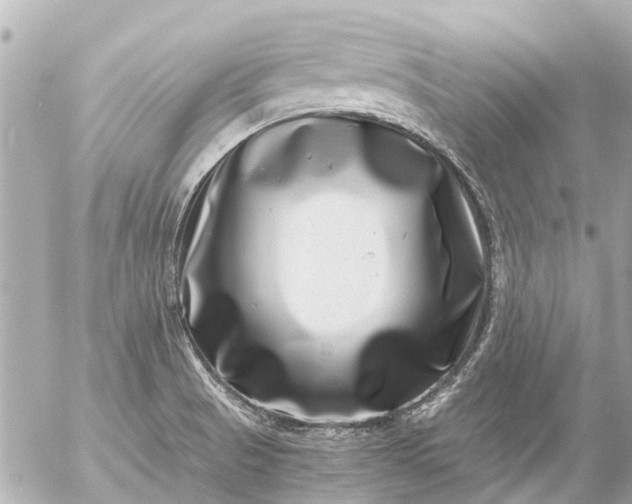 X0000056321521200509092249