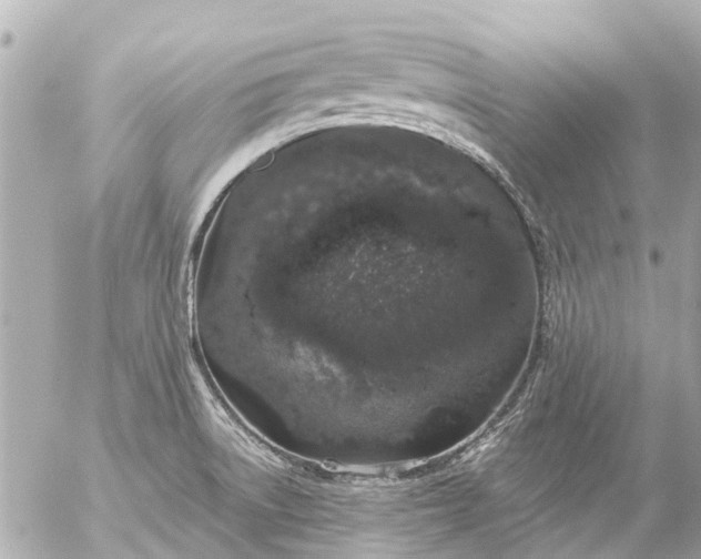 X0000056321522200509092249