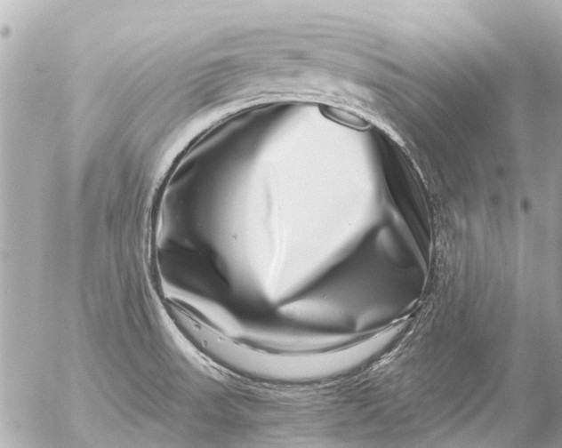 X0000056321523200509092249