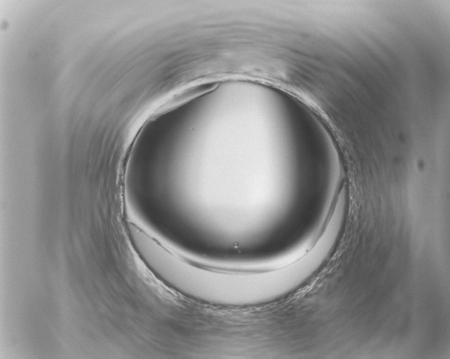 X0000056321524200509092249