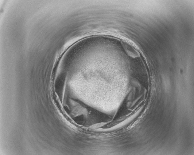 X0000056321525200509092249