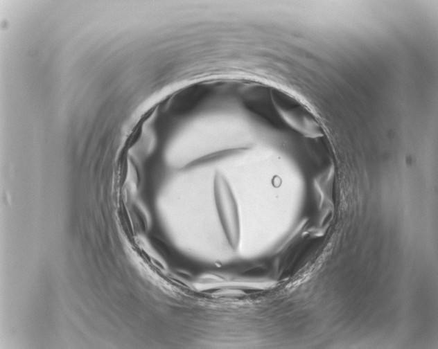 X0000056321526200509092249