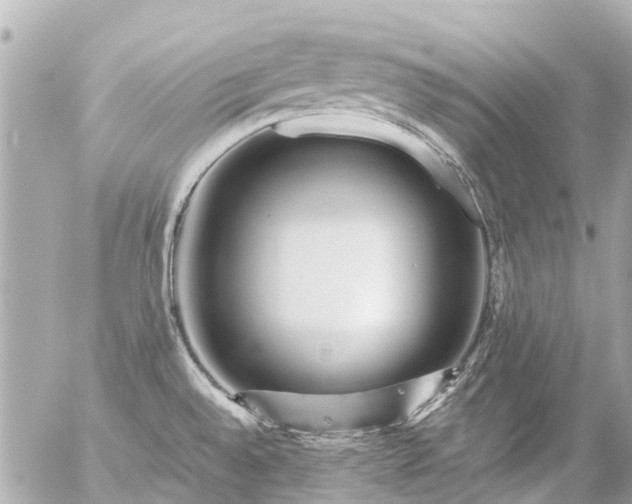 X0000056321528200509092249