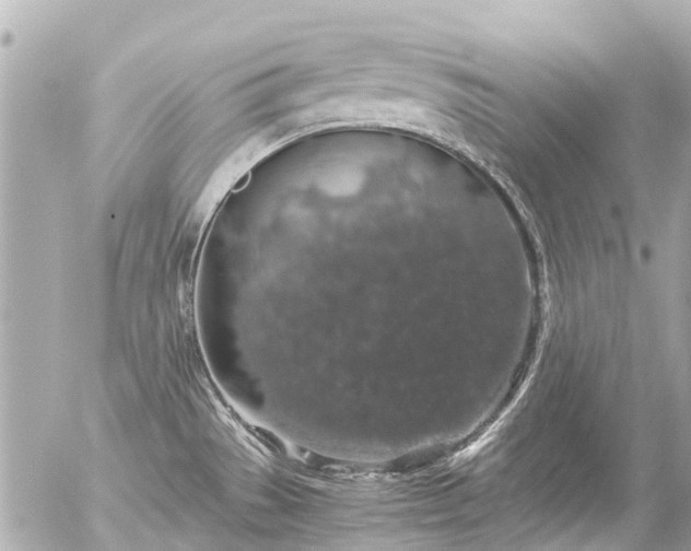 X0000056321529200509092250