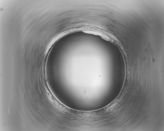 X0000056321530200509092250