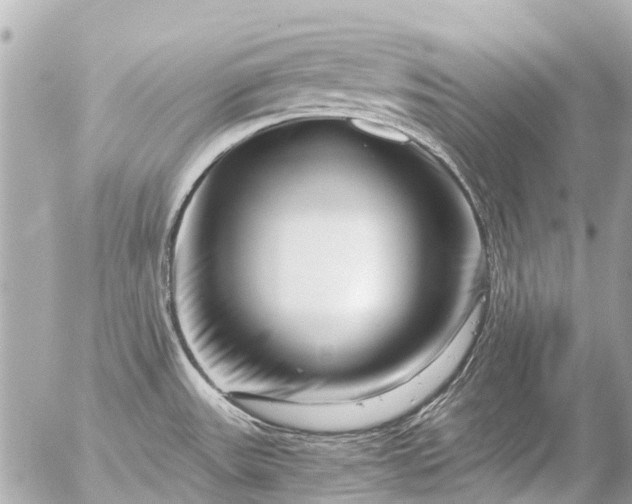 X0000056321531200509092250