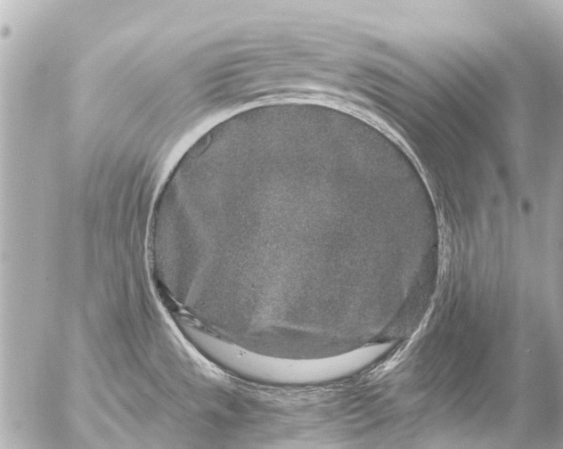 X0000056321533200509092250