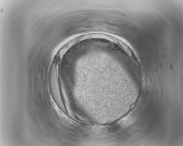 X0000056321534200509092250