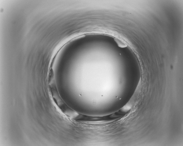 X0000056321536200509092250