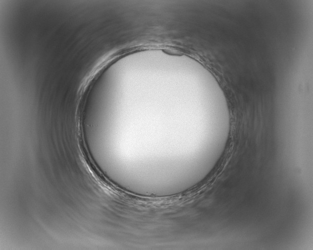 X0000056320005200509161655